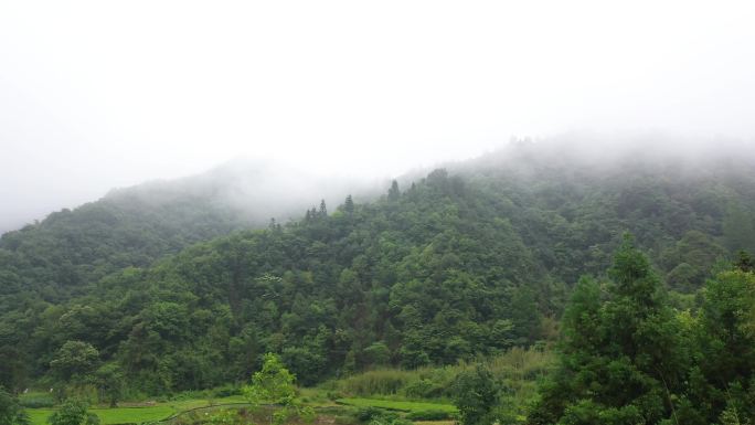 航拍湖北鹤峰深山老林