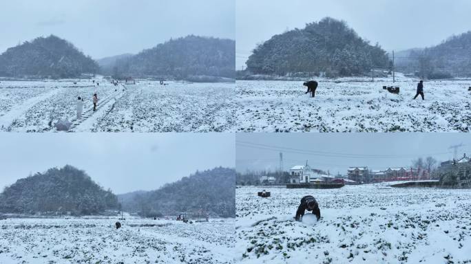 4k实拍乡村雪景