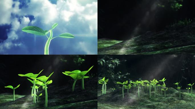 种子生长发芽延时视频素材三维动画春天来了