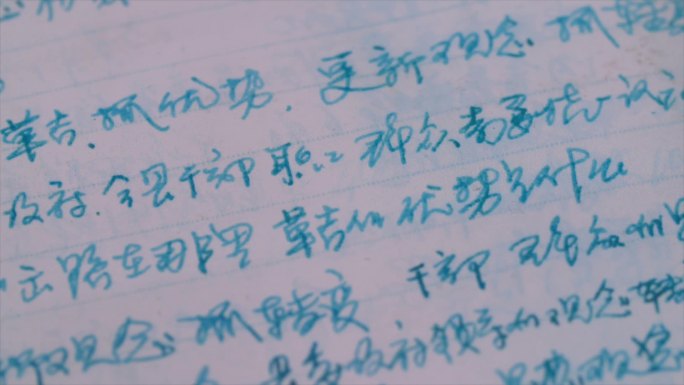 日记本孔繁森日记旧笔记老笔记C015