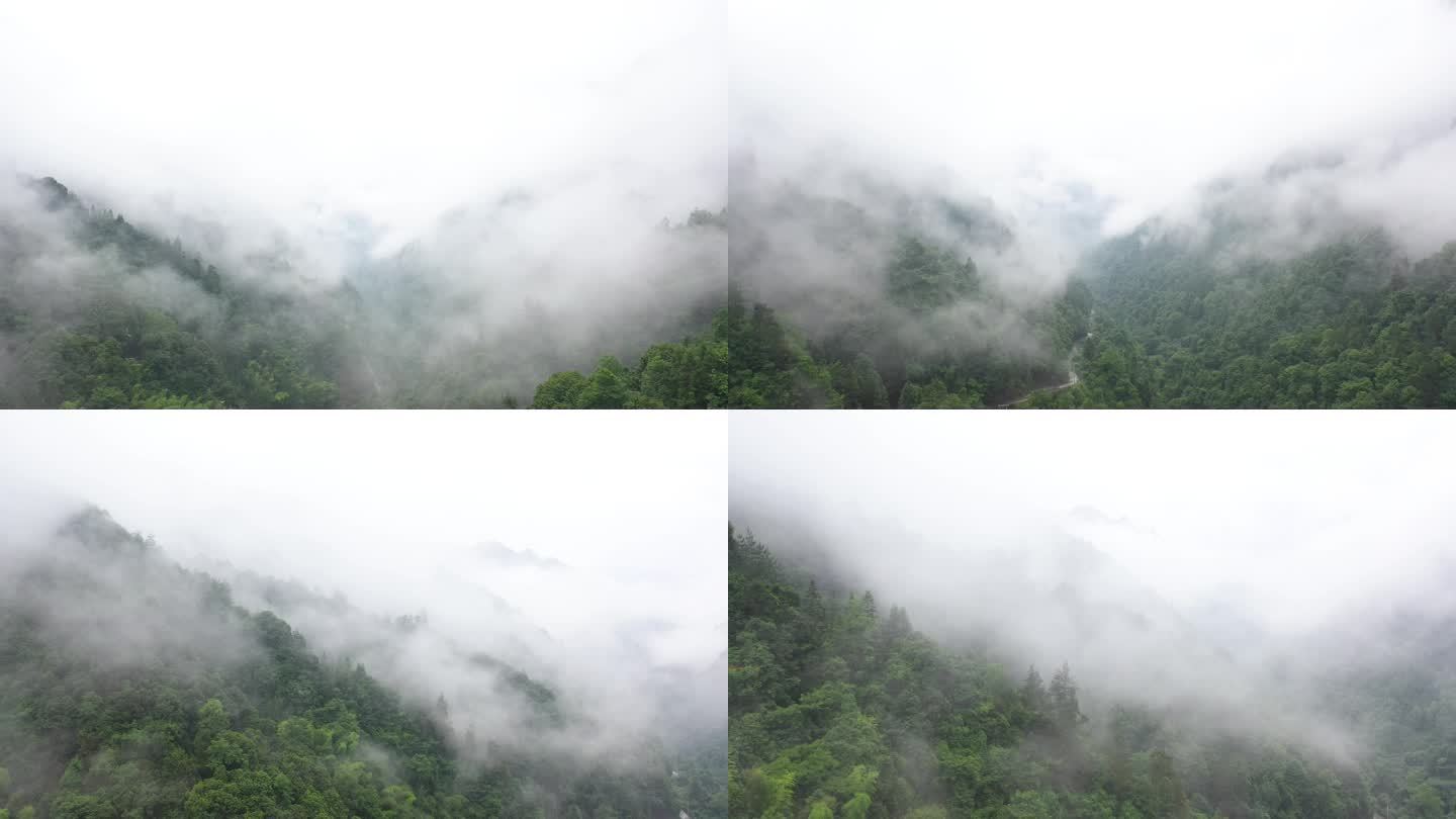 鹤峰 深山云层 航拍