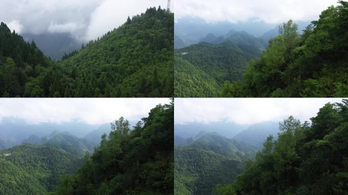 鹤峰 深山老林 航拍