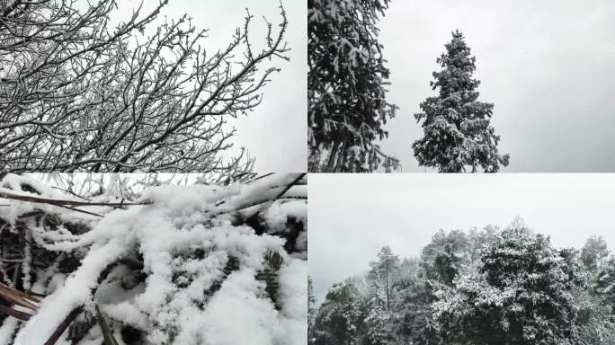 雪景  下雪  雪山  特写 细节