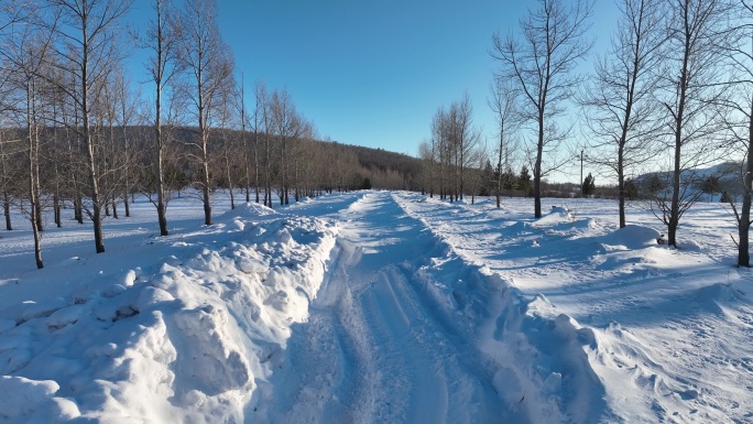 大兴安岭林区被冰雪覆盖的道路雪路