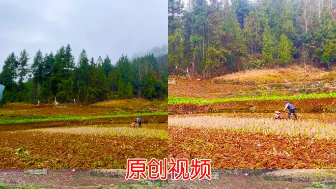 耕田犁地除草