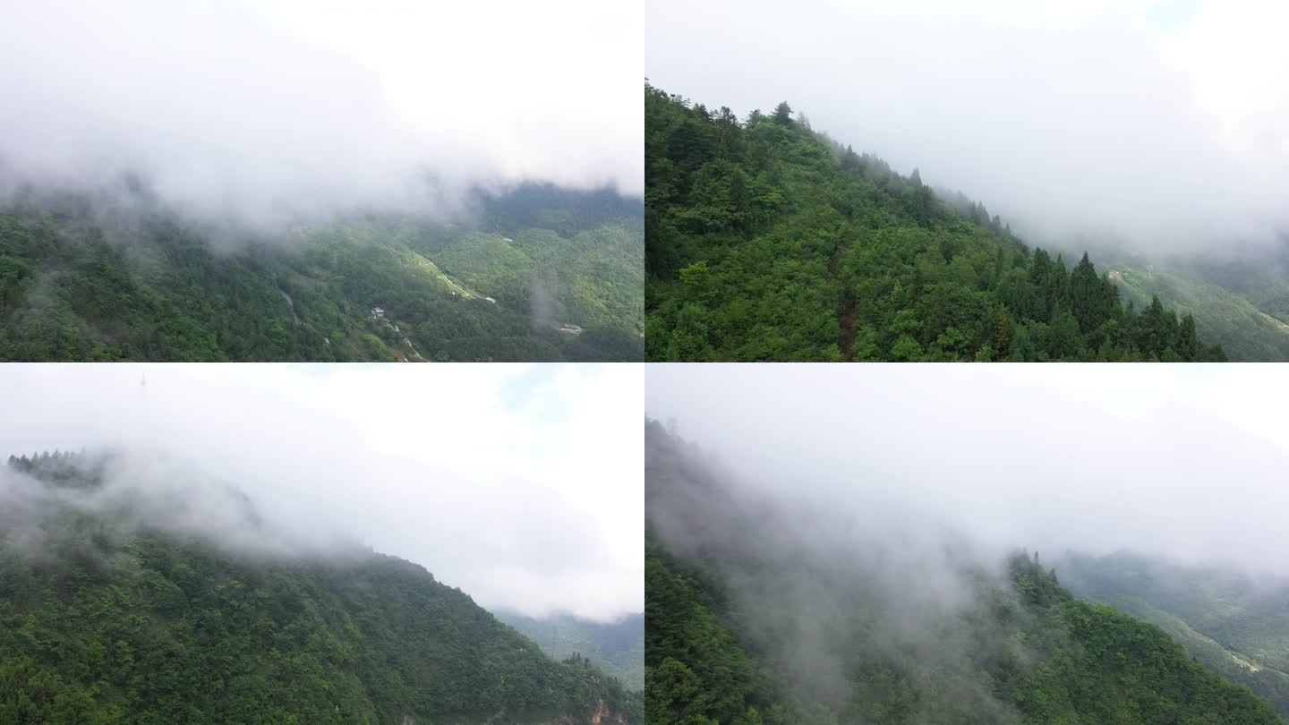 航拍鹤峰深山老林