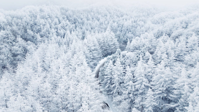 航拍秦岭森林雪景