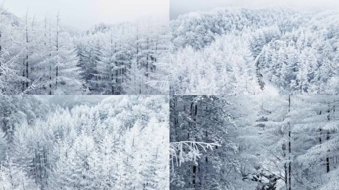 航拍秦岭森林雪景