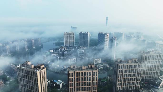 青浦城区平流雾