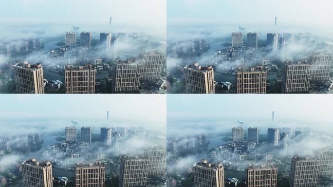 青浦城区平流雾
