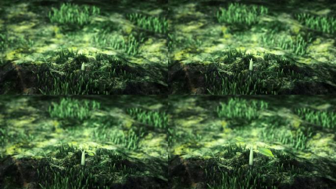 种子生长发芽延时视频素材三维动画春天绿色
