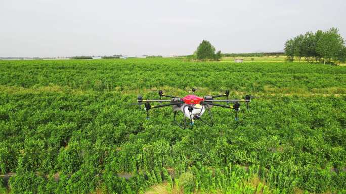 4K59帧率八轴植保无人机农田巡视喷药