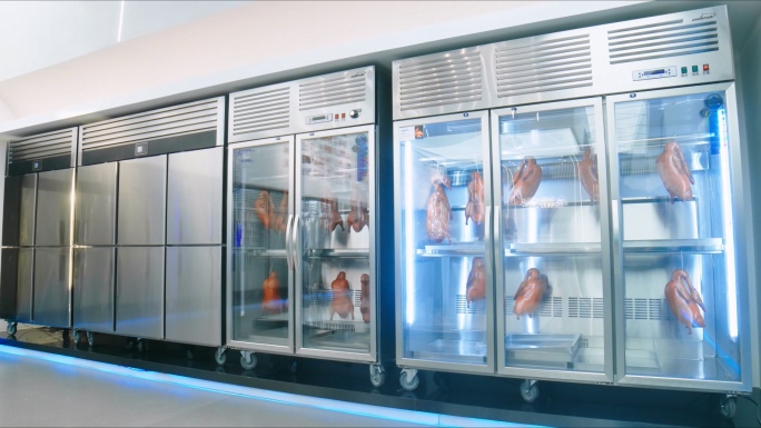 冰柜 冷柜 风幕柜 冰箱