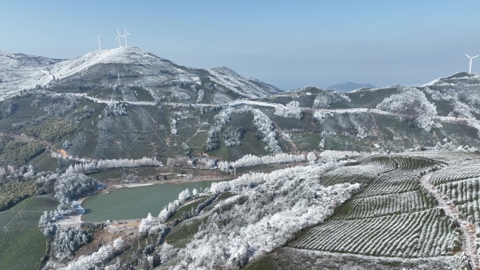 航拍浙江高山湖泊茶山茶园寒潮冷空气下雪