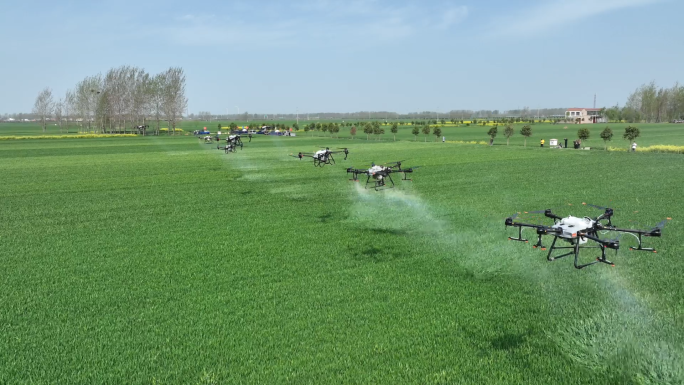 无人机洒农药  无人机植保 麦田一喷三防