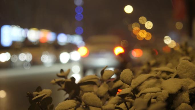 夜晚城市下雪雪景