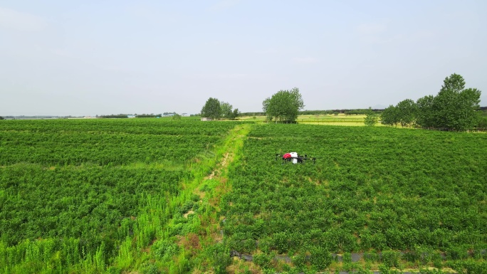 4K59帧率四轴植保无人机农田巡视喷药