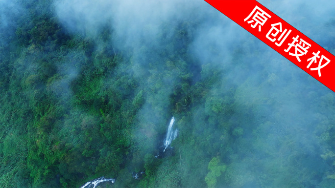 大自然热带雨林风景4K