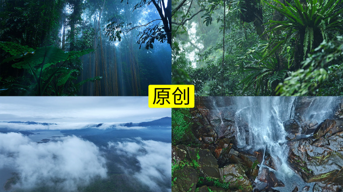 大自然热带雨林风景4K