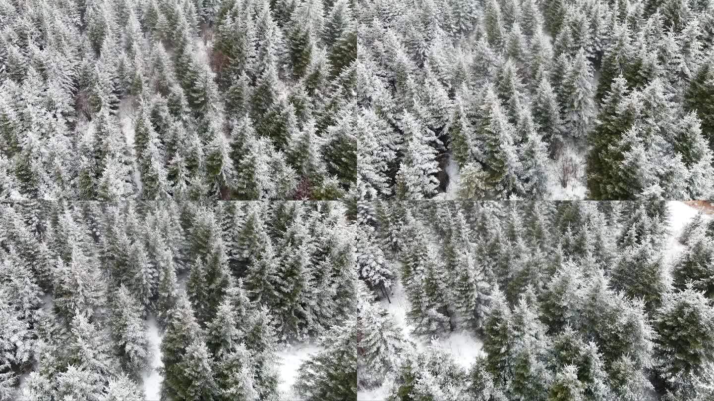 林海雪景