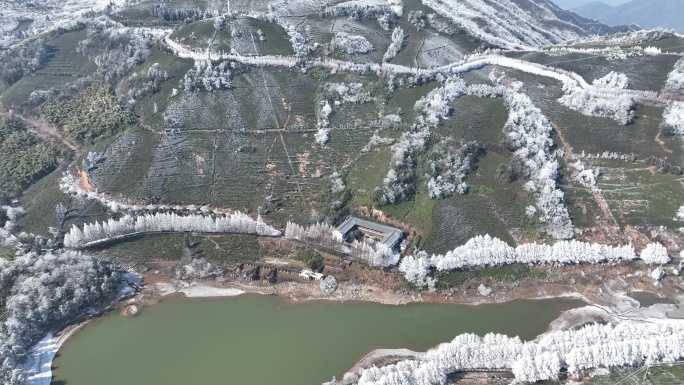 航拍高山茶园茶山冷空气倒春寒下雪风力发电