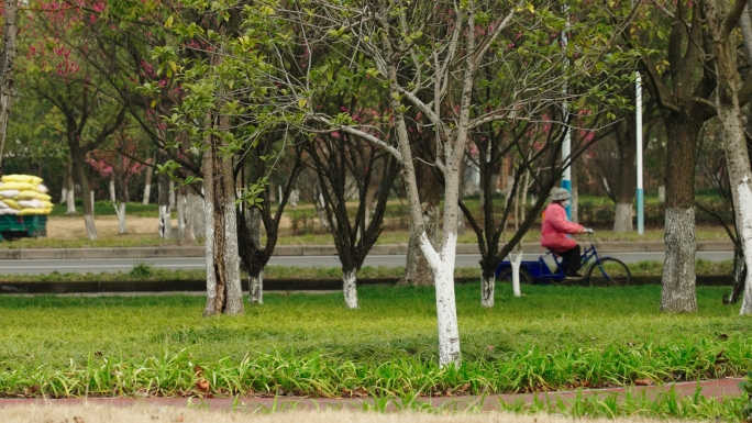 一辆骑行的三轮车