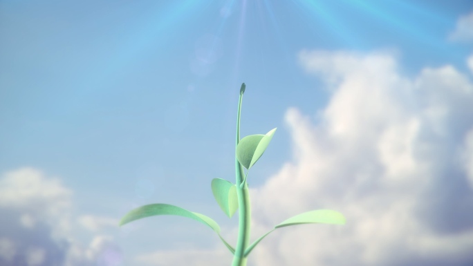 大自然春天种子生长发芽三维动画视频素材