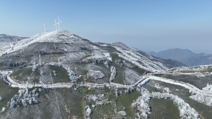 航拍浙江高山茶园茶山风力发电冬天冷空气