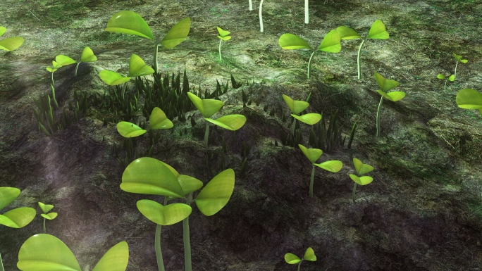 大自然春天种子生长发芽视频素材三维动画