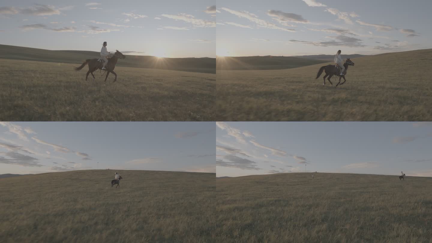 呼伦贝尔大草原晴天少女骑马狂奔策马奔腾