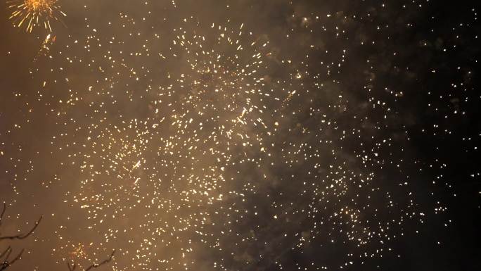 夜空中的烟花礼花爆竹鞭炮