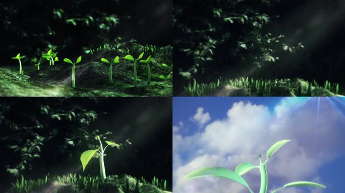 种子生长发芽延时三维动画视频素材意境春天