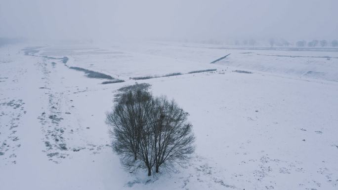 田野旷野大地平原大雪纷飞航拍