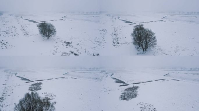 田野旷野大地平原大雪纷飞航拍