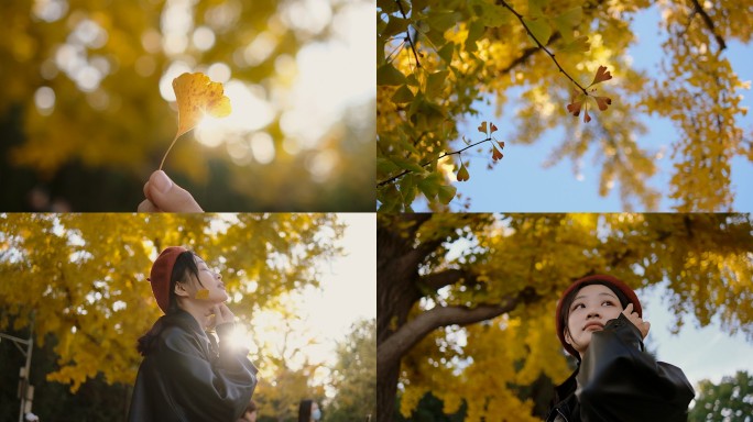 秋天的银杏空镜女孩在银杏树下嬉戏