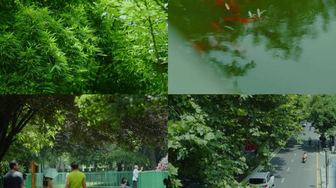 夏季城市绿色空镜自然绿化生活