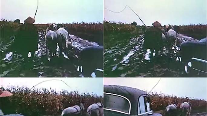 1958年 马匹救援汽车