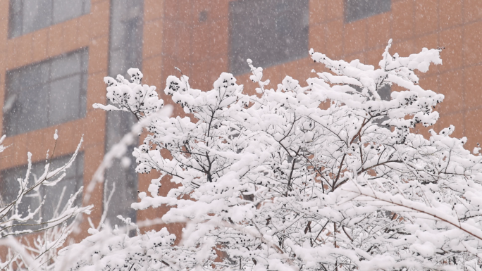 下雪升格雪景慢镜头