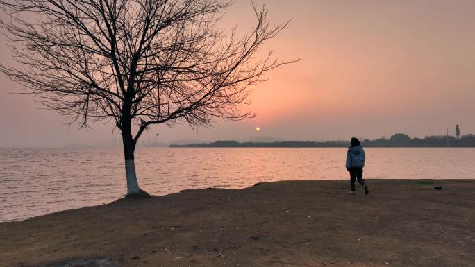 女生走向湖边江夏版孤独的树迎着日出前进