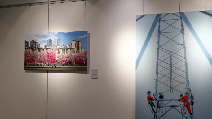 广西美术馆摄影展 图片展 书画展 书法展