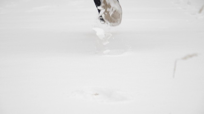 雪中向前奔跑