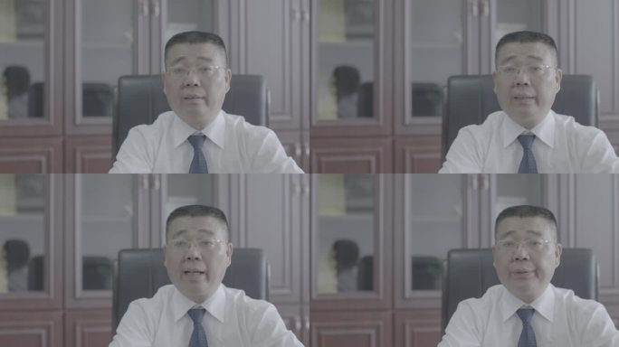 【4K灰度】中年男子开会发言商务交流