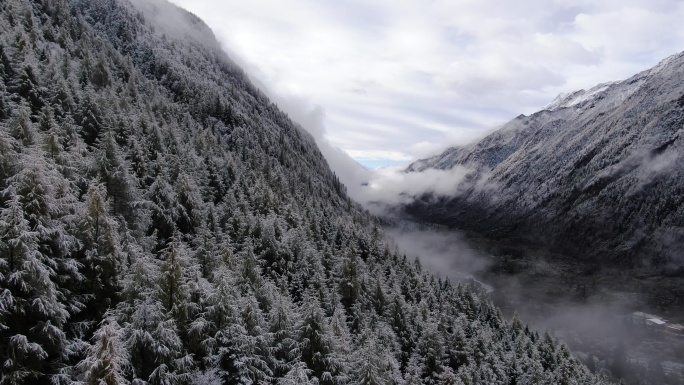 川西高原雪山秋景4k航拍