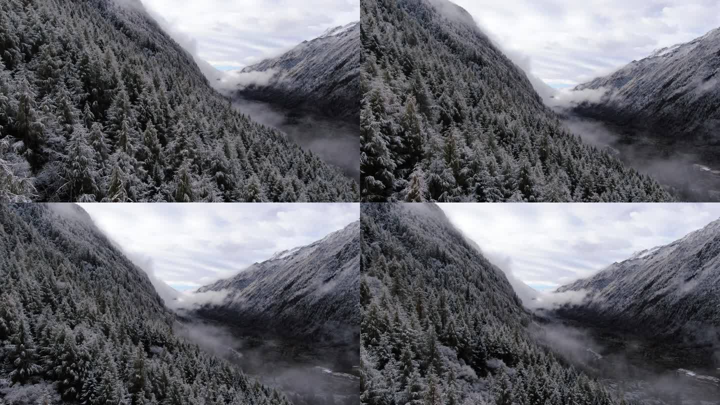 川西高原雪山秋景4k航拍