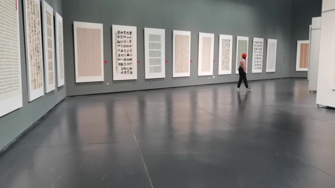 广西美术馆摄影展 图片展 书画展 书法展