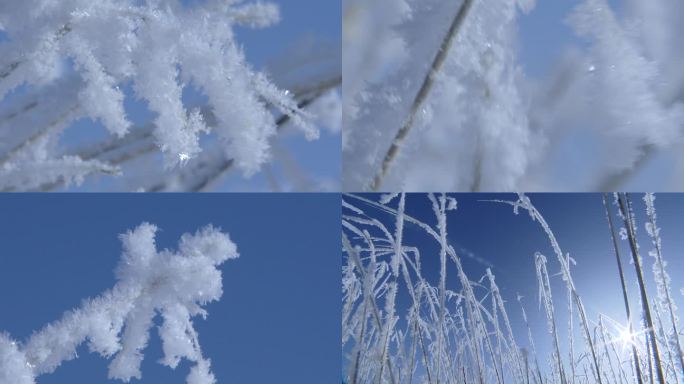 【4K原创素材】冬季雪霜素材