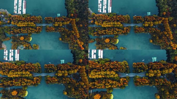 杭州西湖杨公堤俯拍