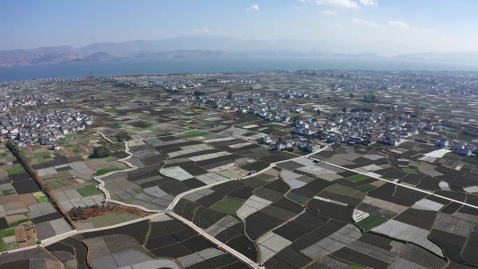 云南大理稻田旅游风光航拍