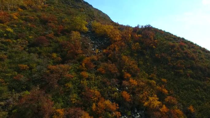 大青山秋景航拍