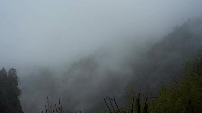 4K延时云雾缭绕森林深山大山